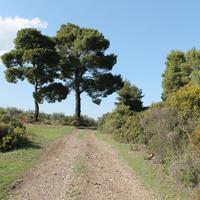 Земельный участок в Греции