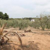 Земельный участок в Греции