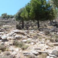 Земельный участок в Греции