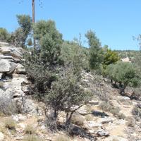 Земельный участок в Греции