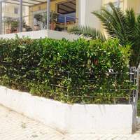 Таунхаус в Греции, 95 кв.м.