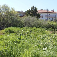 Land plot in Greece