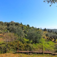 Земельный участок в Греции, 4100 кв.м.