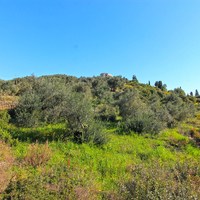 Земельный участок в Греции, 4100 кв.м.