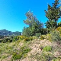 Земельный участок в Греции, 4100 кв.м.