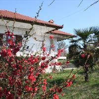 Другое в Греции, 220 кв.м.