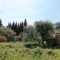 Land plot in Greece, 1000 sq.m.