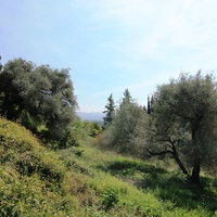 Land plot in Greece, 1000 sq.m.