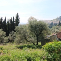 Land plot in Greece, 1000 sq.m.