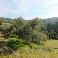 Land plot in Greece, 2758 sq.m.