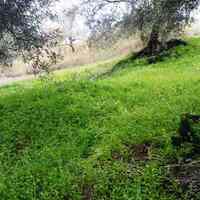 Land plot in Greece, 2758 sq.m.