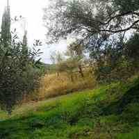 Land plot in Greece, 2758 sq.m.