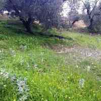 Land plot in Greece, 2758 sq.m.