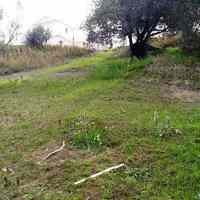 Land plot in Greece, 2758 sq.m.