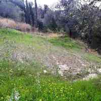 Land plot in Greece, 2758 sq.m.