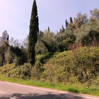 Land plot in Greece, 4400 sq.m.