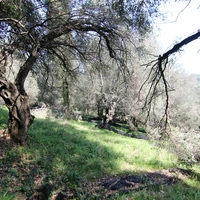 Land plot in Greece, 4400 sq.m.