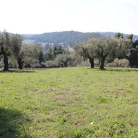 Land plot in Greece