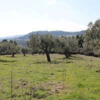 Land plot in Greece