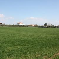 Land plot in Greece