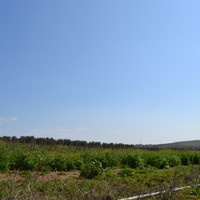 Земельный участок в Греции