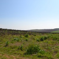 Земельный участок в Греции