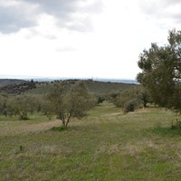 Land plot in Greece