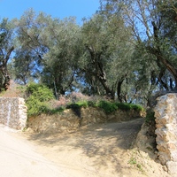 Land plot in Greece, 2550 sq.m.