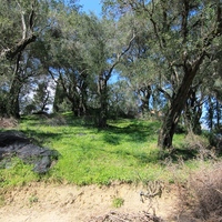 Land plot in Greece, 2550 sq.m.