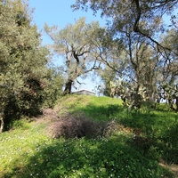 Land plot in Greece, 2550 sq.m.