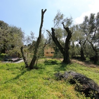 Land plot in Greece, 1395 sq.m.