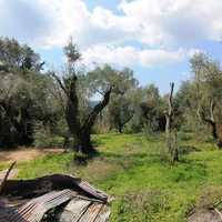 Land plot in Greece, 1395 sq.m.