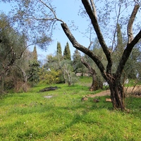 Land plot in Greece, 1395 sq.m.
