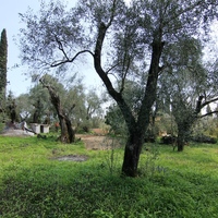 Land plot in Greece, 1395 sq.m.