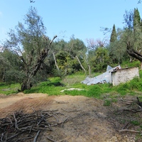 Land plot in Greece, 1395 sq.m.