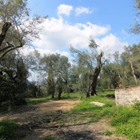 Land plot in Greece, 1395 sq.m.