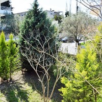 Other in Greece, 480 sq.m.