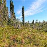 Земельный участок в Греции, 4800 кв.м.