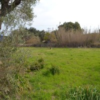 Land plot in Greece
