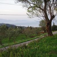 Бизнес-центр в Греции