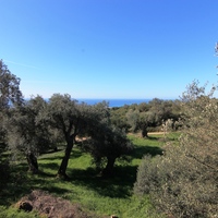 Земельный участок в Греции, 2946 кв.м.