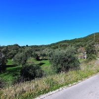 Земельный участок в Греции, 2946 кв.м.