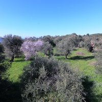 Земельный участок в Греции, 2946 кв.м.