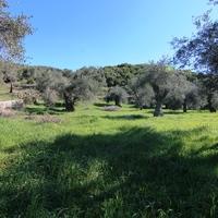 Земельный участок в Греции, 2946 кв.м.