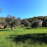 Земельный участок в Греции, 2946 кв.м.