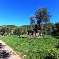 Земельный участок в Греции, 2946 кв.м.