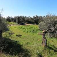 Земельный участок в Греции, 2536 кв.м.