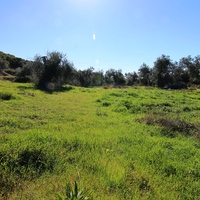 Земельный участок в Греции, 2536 кв.м.