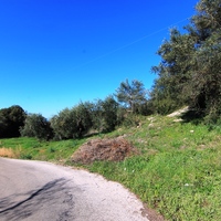 Земельный участок в Греции, 2536 кв.м.