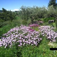 Other in Greece, 80 sq.m.